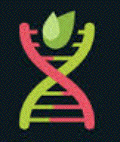 DNA-Nature