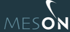 meson